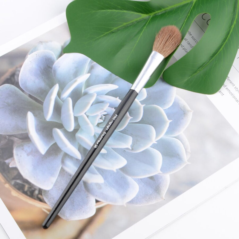 Makeup brushes