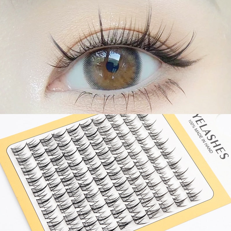 False Eyelash