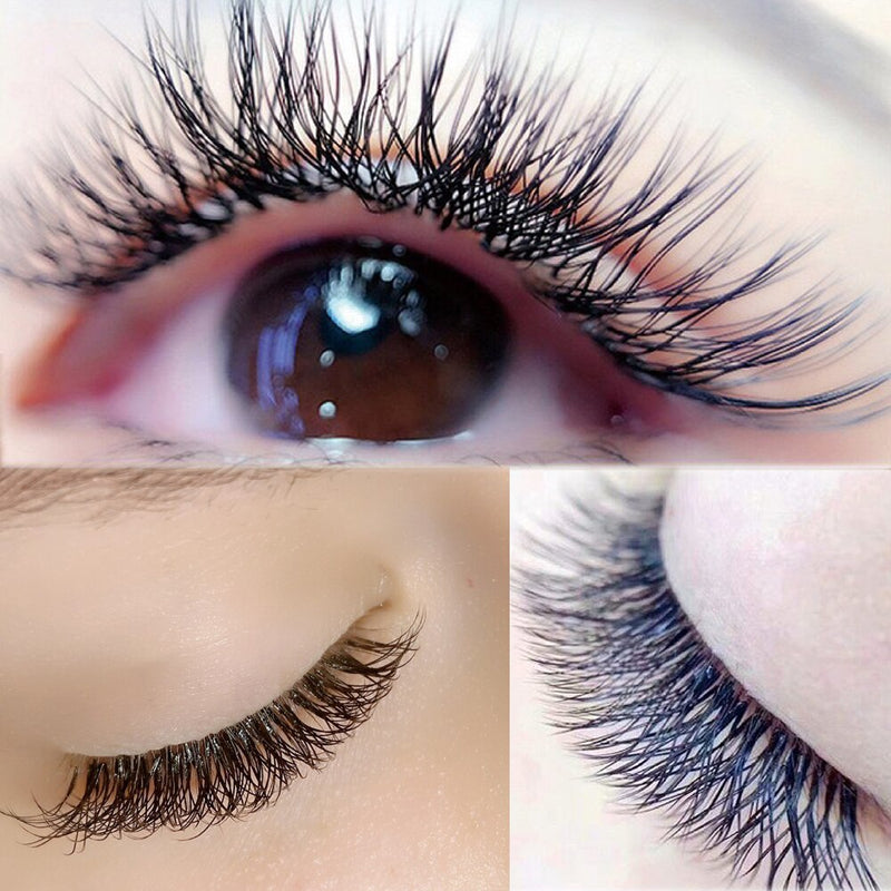 False Eyelash