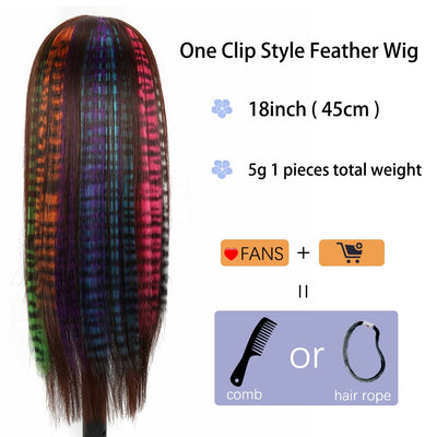 Long Straight Clip Hair Extension