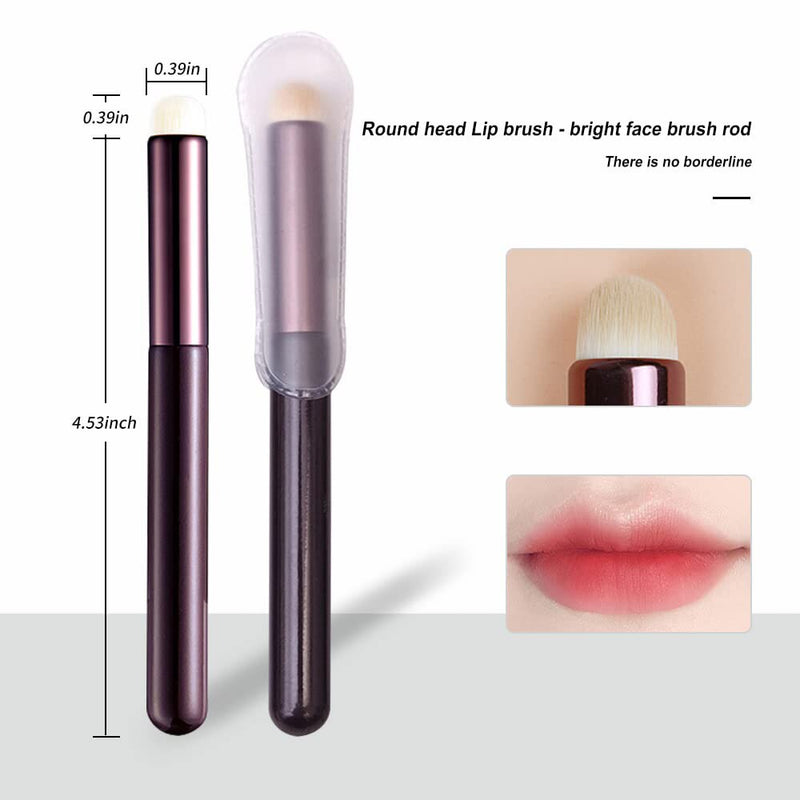 Round Tip Lip Brush