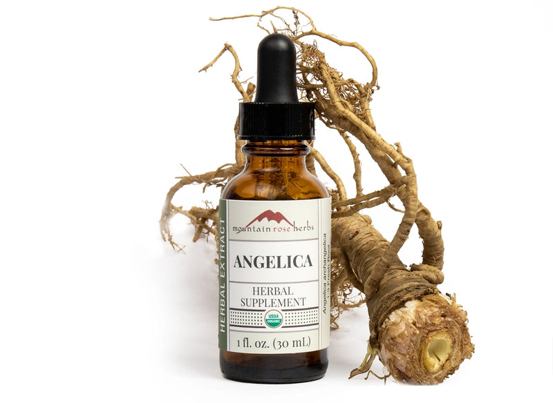 Angelica Extract